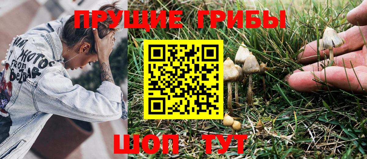 Псилоцибиновые грибы мицелий  Вход с VPN  Галлюциногенные грибы Cubensis  наркошоп  Орёл 
